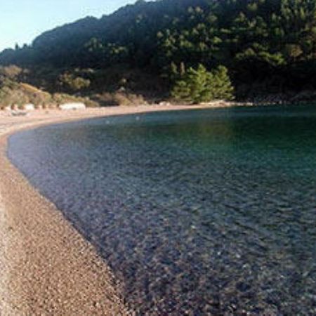 M客房公寓公寓 Petrovac 外观 照片