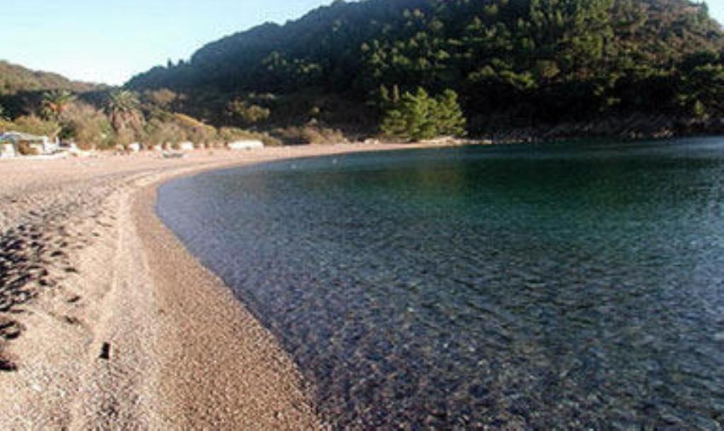 M客房公寓公寓 Petrovac 外观 照片